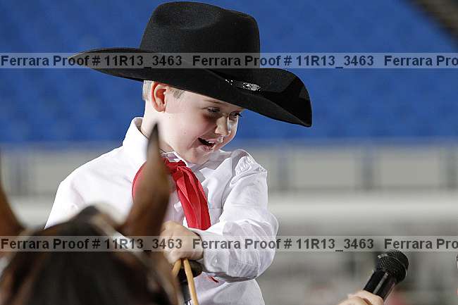 Proof 11r13_3463