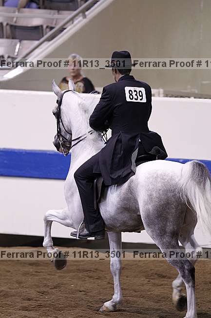 Proof 11r13_3501