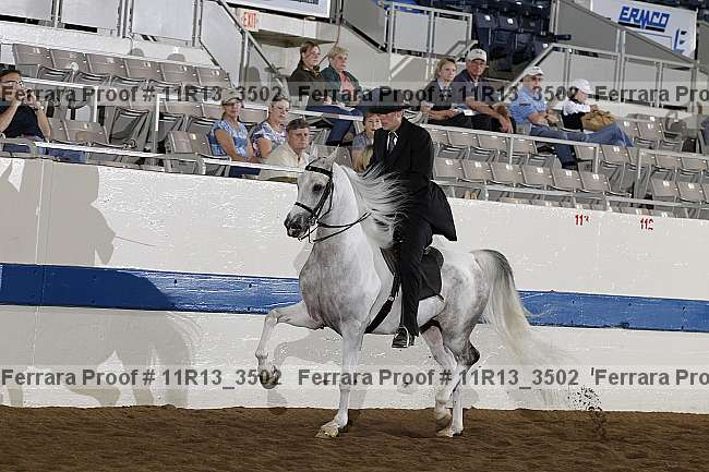Proof 11r13_3502