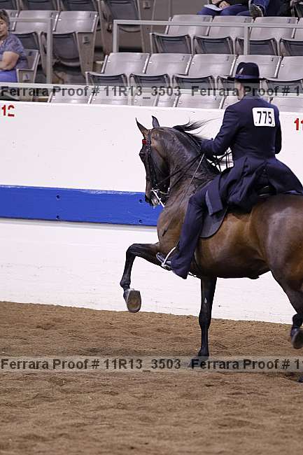 Proof 11r13_3503