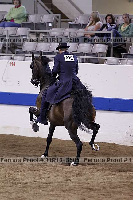Proof 11r13_3505