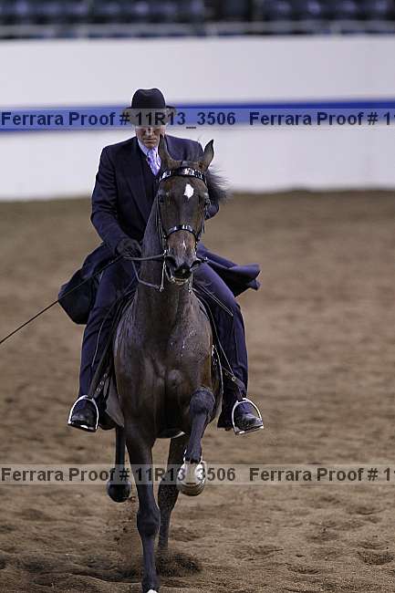 Proof 11r13_3506