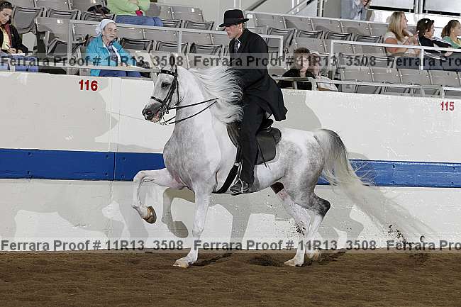 Proof 11r13_3508