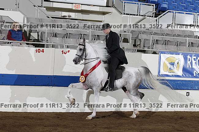 Proof 11r13_3522