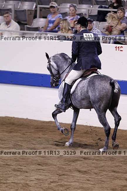 Proof 11r13_3529