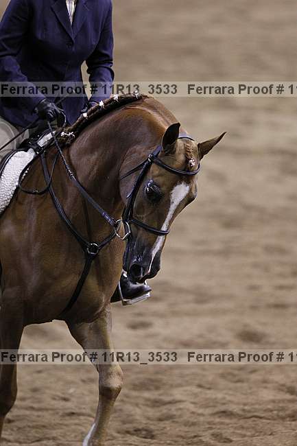 Proof 11r13_3533