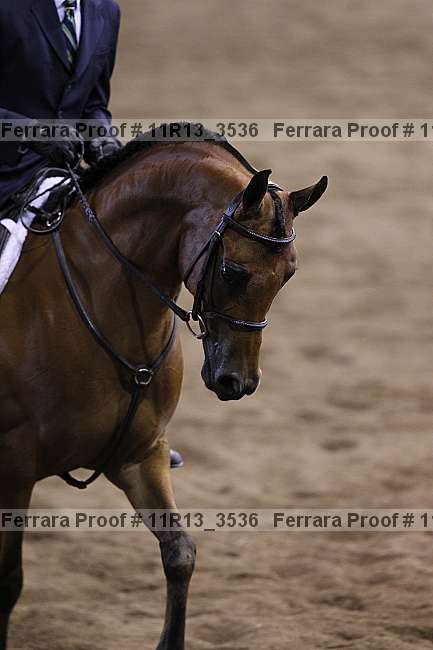 Proof 11r13_3536