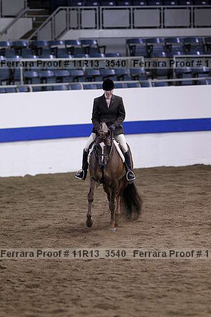 Proof 11r13_3540