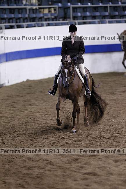 Proof 11r13_3541
