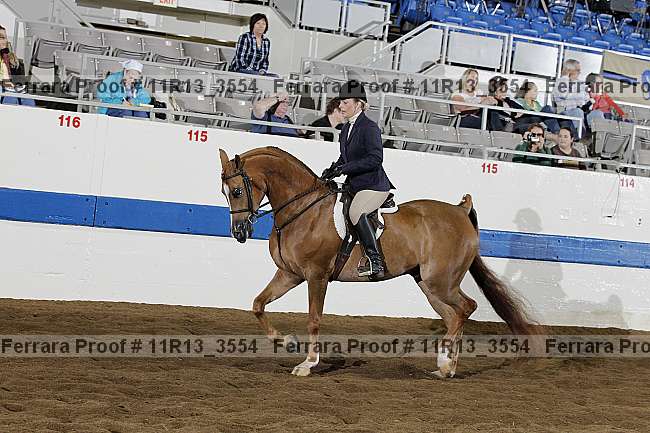 Proof 11r13_3554