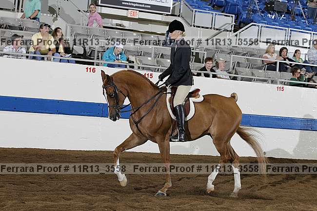Proof 11r13_3558
