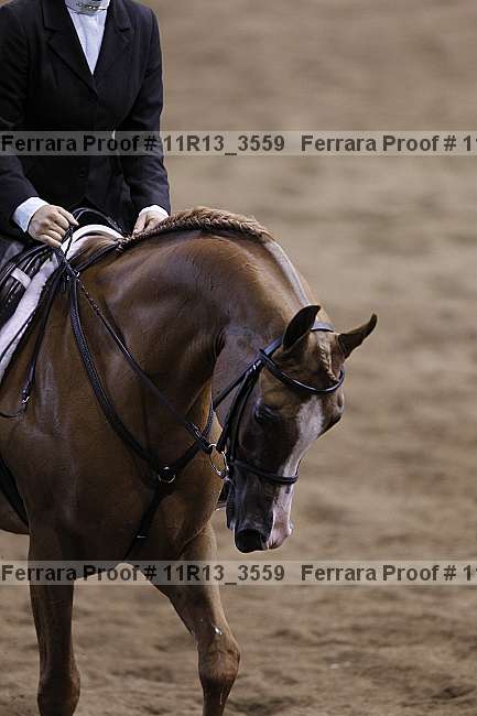 Proof 11r13_3559