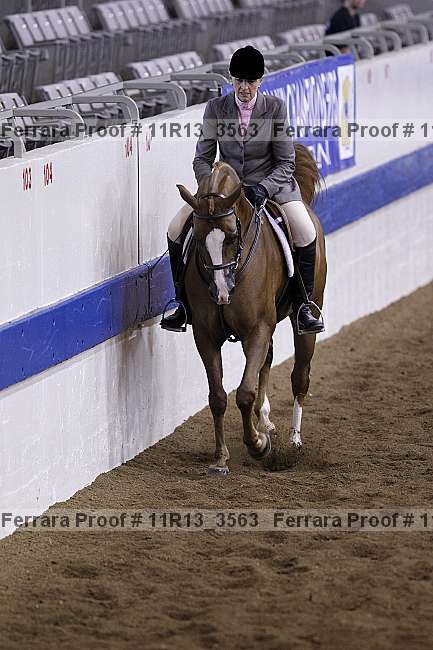 Proof 11r13_3563