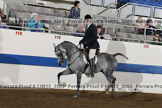 Proof 11r13_3565