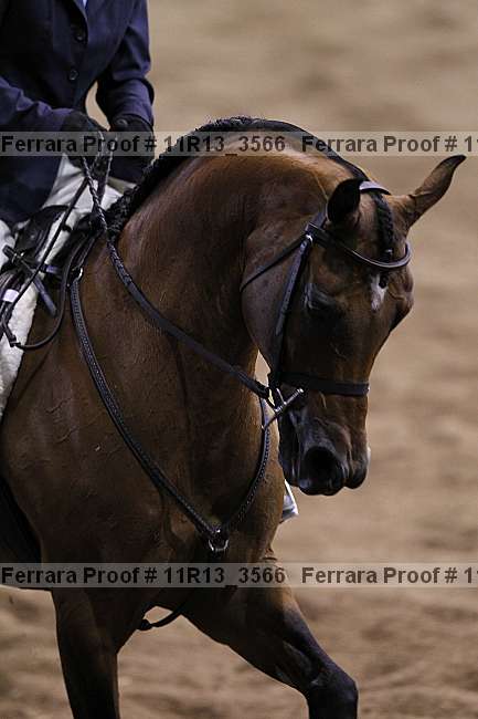 Proof 11r13_3566