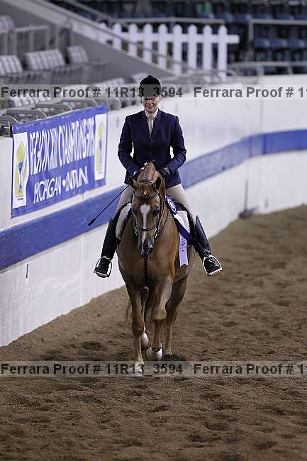 Proof 11r13_3594