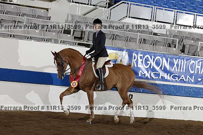 Proof 11r13_3599