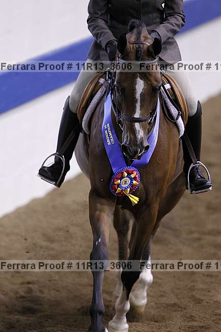 Proof 11r13_3606