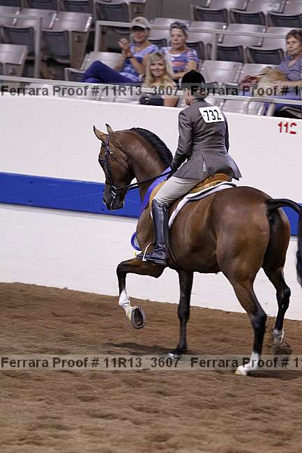Proof 11r13_3607