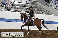 11r13_3608 proof