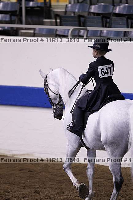 Proof 11r13_3610