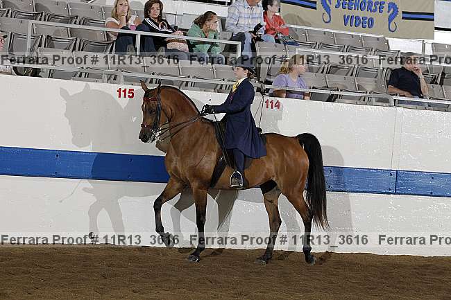 Proof 11r13_3616