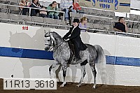 11r13_3618 proof