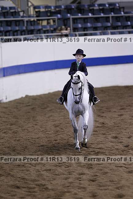 Proof 11r13_3619