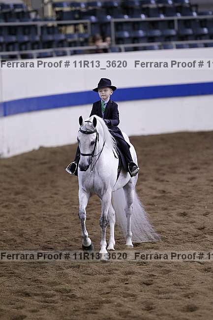 Proof 11r13_3620