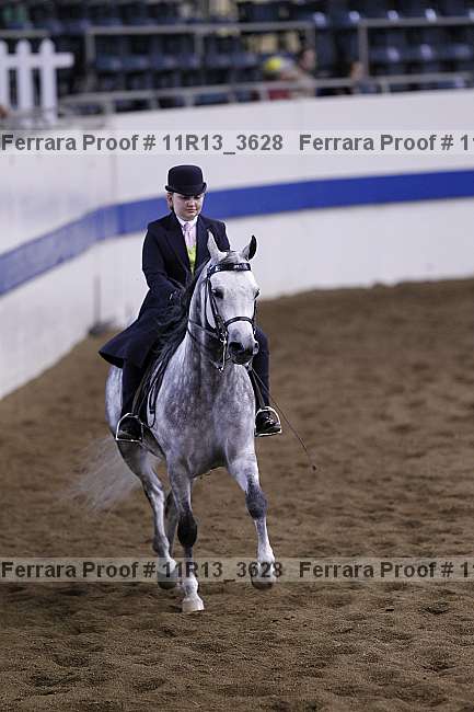 Proof 11r13_3628