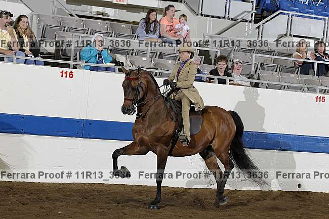 Proof 11r13_3636