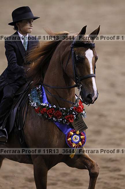 Proof 11r13_3644