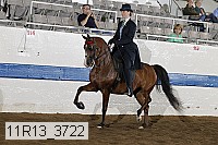 11r13_3722 proof