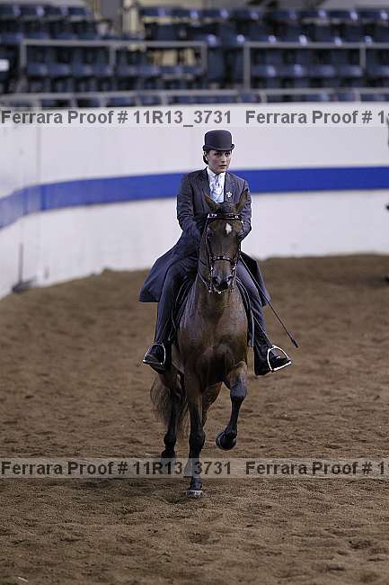 Proof 11r13_3731