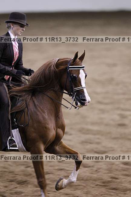 Proof 11r13_3732