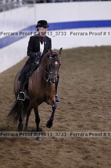 Proof 11r13_3733