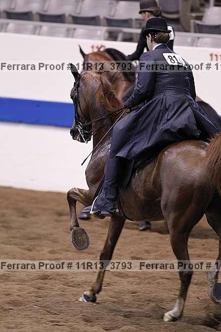 Proof 11r13_3793