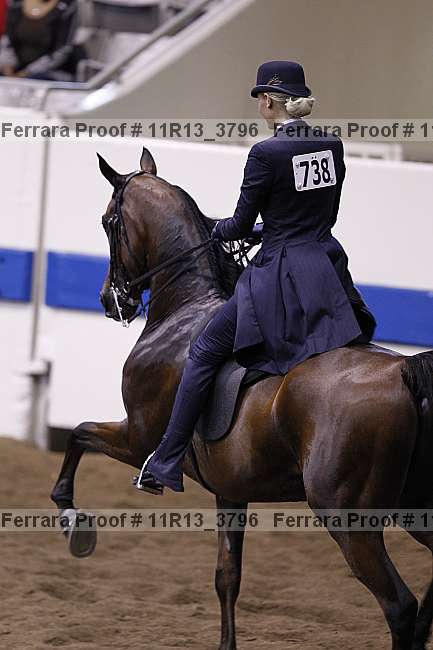 Proof 11r13_3796