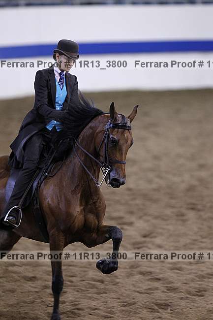 Proof 11r13_3800