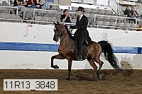 11r13_3848 proof