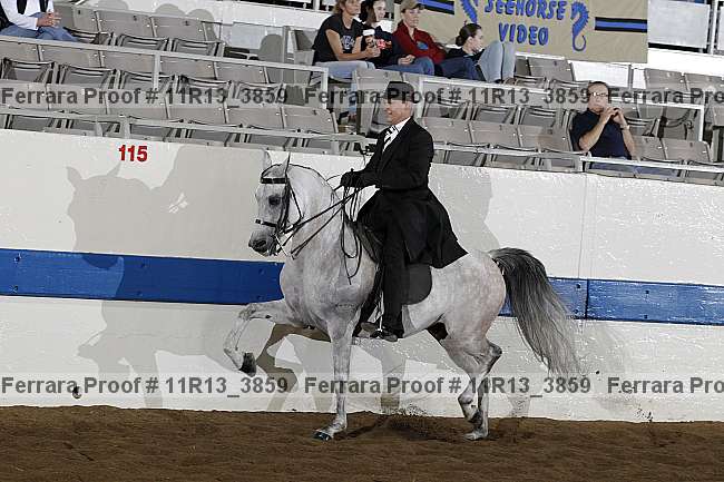 Proof 11r13_3859