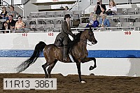 11r13_3861 proof