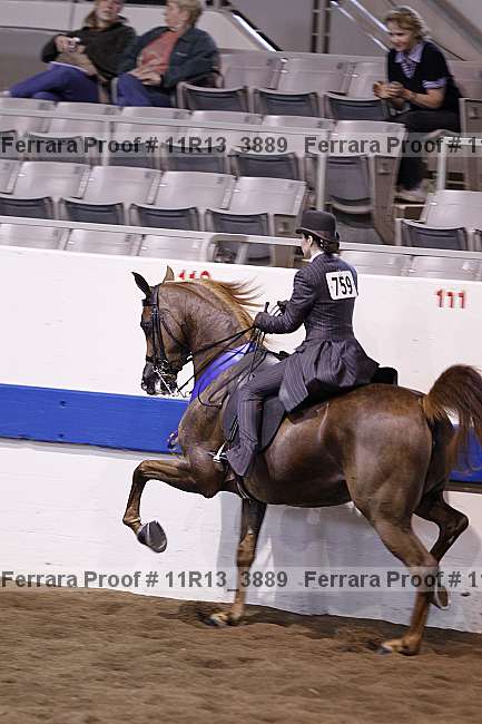 Proof 11r13_3889