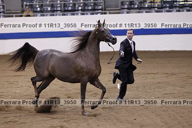 Proof 11r13_3950
