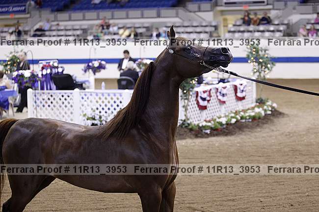Proof 11r13_3953