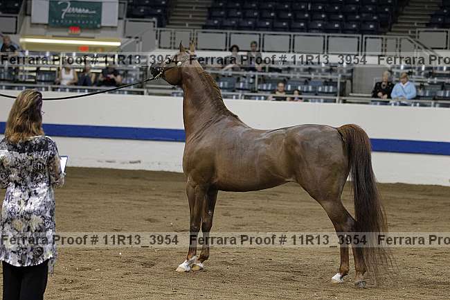 Proof 11r13_3954
