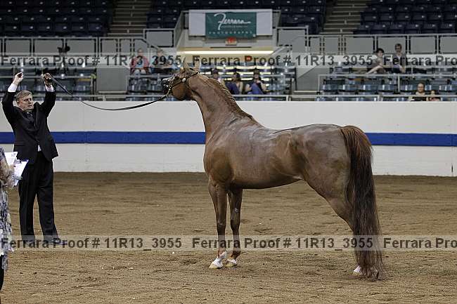 Proof 11r13_3955