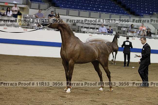 Proof 11r13_3956