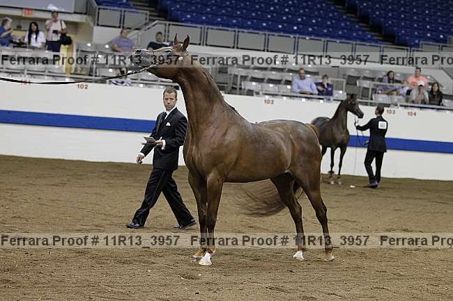 Proof 11r13_3957
