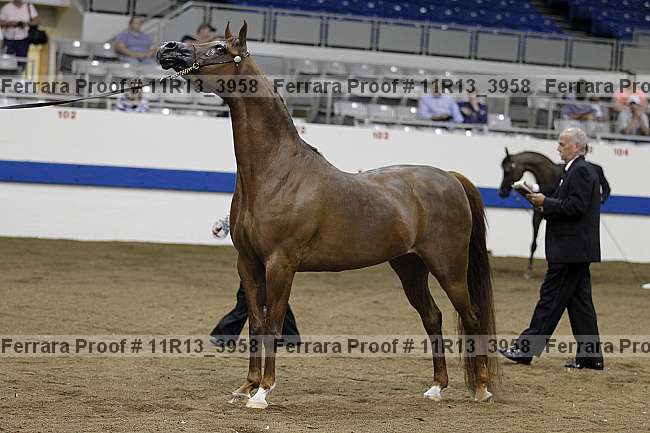 Proof 11r13_3958